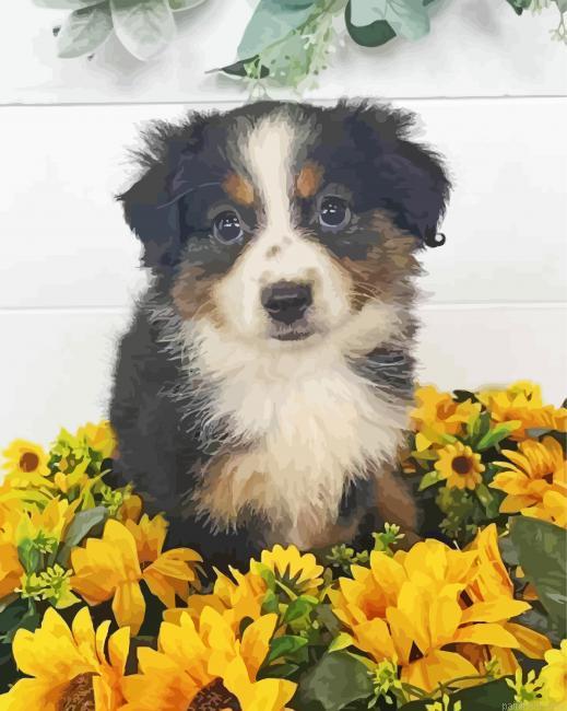 Mini aussi and sunflowers painting by numbers.jpeg
