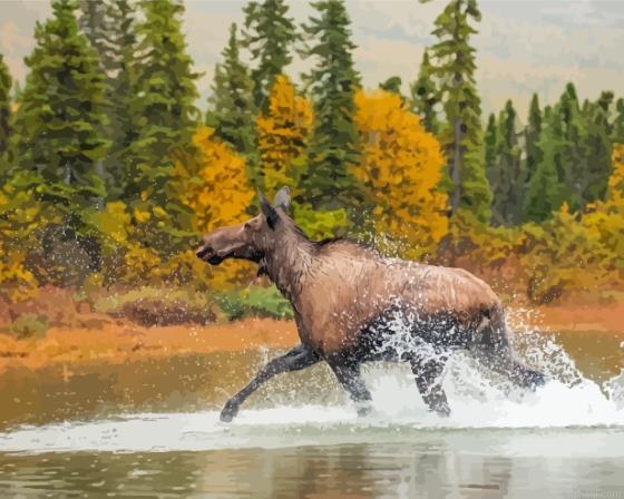 Moose in lake painting by numbers.jpeg
