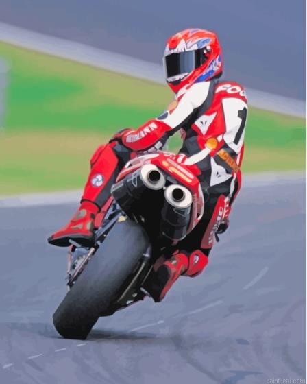 Motorcycle racer carl fogarty painting by numbers.jpeg