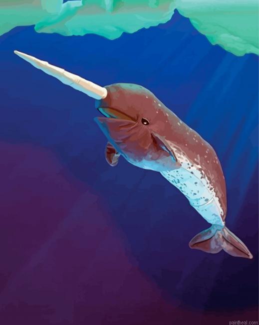 Narwhal underwater animal painting by numbers.jpeg