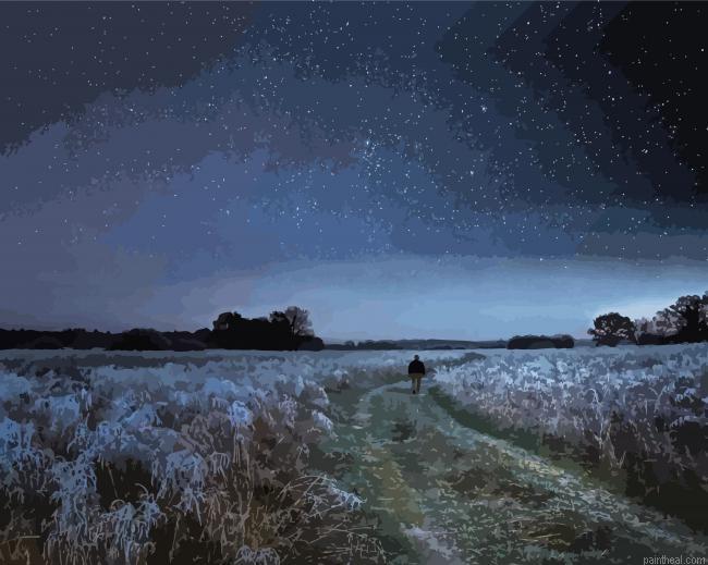 Night walk in nature painting by numbers.jpeg