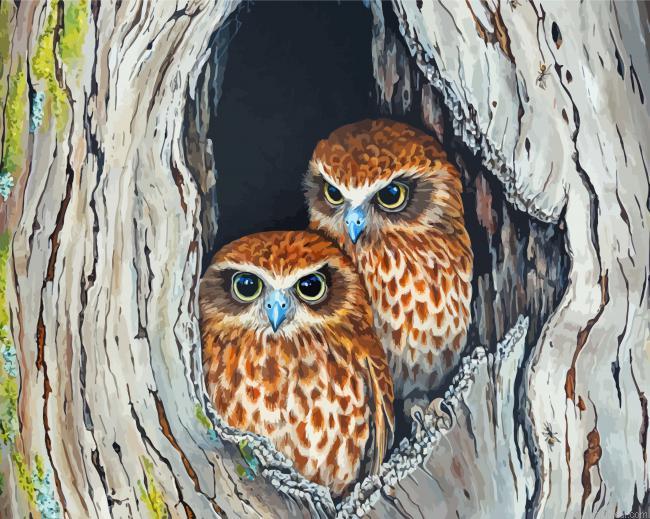 Ninoxe boobook birds couple painting by numbers.jpeg