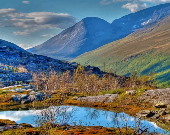 Norway finnmark painting by numbers.jpeg
