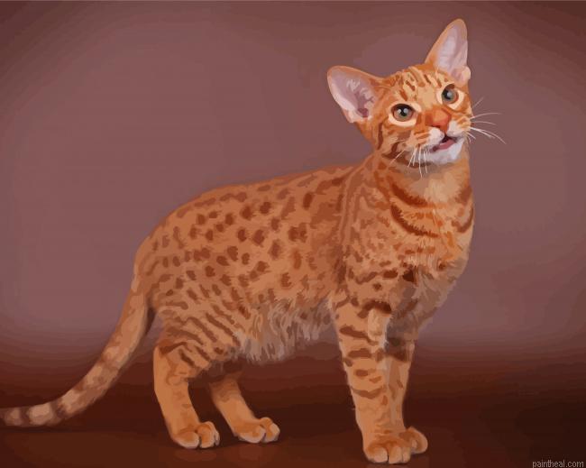 Ocicat animal painting by numbers.jpeg