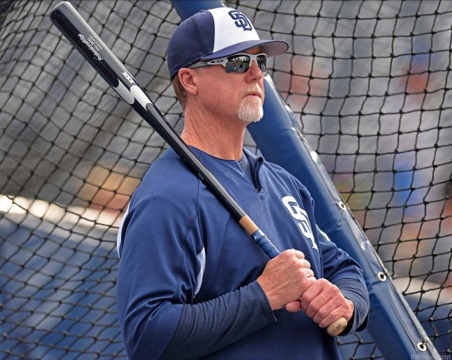 Old mark mcgwire painting by numbers.jpeg