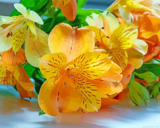 Orange and yellow alstroemeria painting by numbers.jpeg