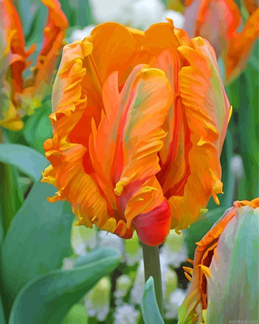 Orange parrot tulips painting by numbers.jpeg