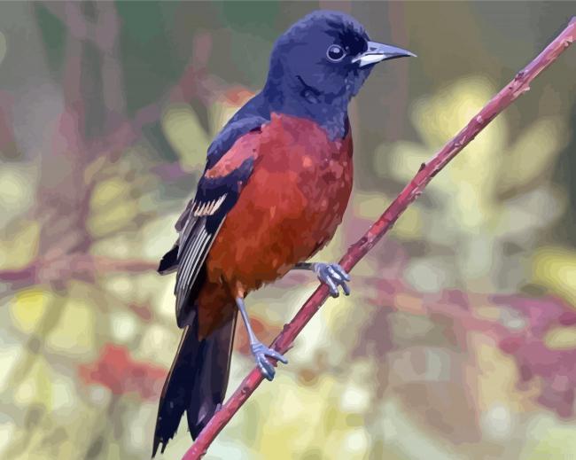 Orchard oriole bird painting by numbers.jpeg