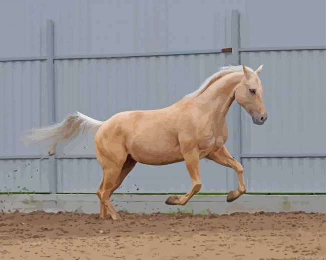 Palomino horse painting by numbers.jpeg