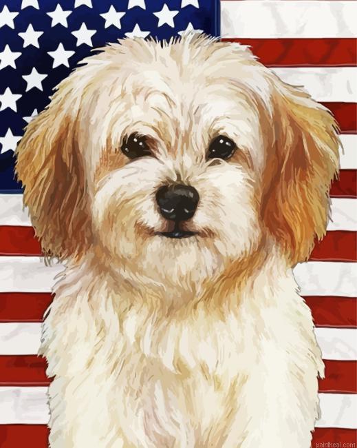 Patriotic cavachon painting by numbers.jpeg
