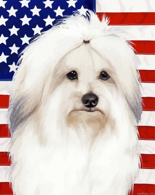 Patriotic coton de tulear painting by numbers.jpeg