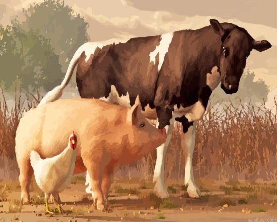 Pig and cow with chicken painting by numbers.jpeg