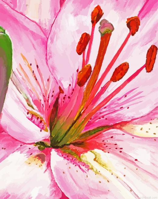 Pink lily painting by numbers.jpeg