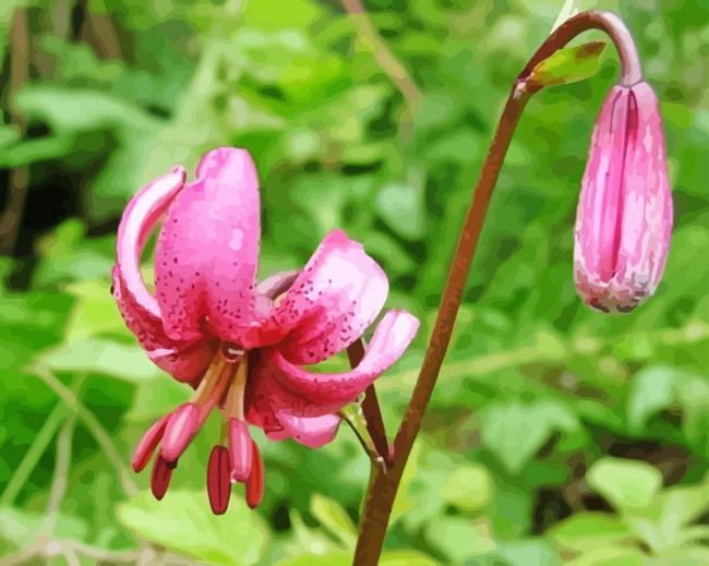 Pink martagon lily painting by numbers.jpeg