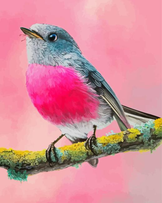 Pink robin painting by numbers.jpeg