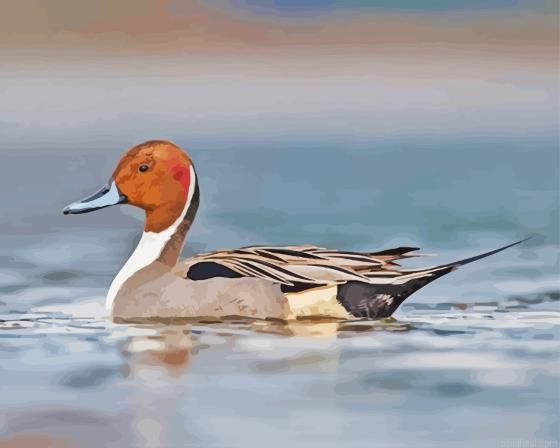 Pintail bird painting by numbers.jpeg