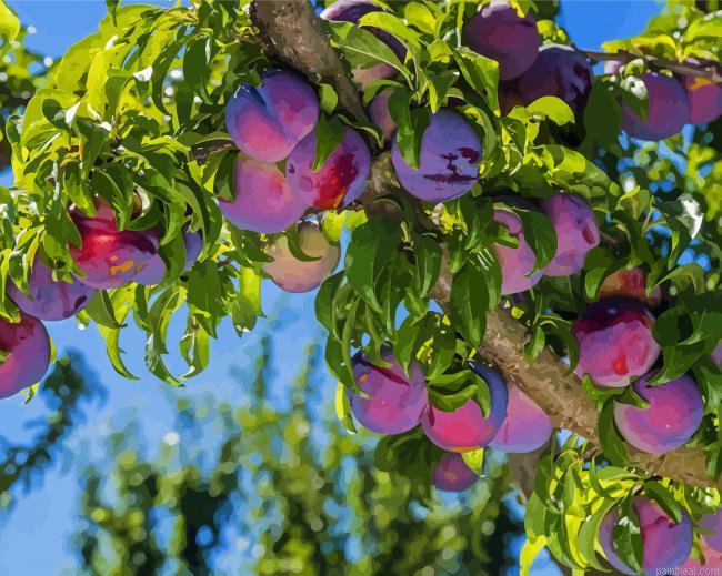 Plum fruit tree painting by numbers.jpeg