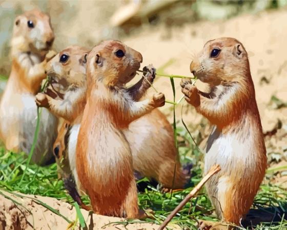 Prairie dogs painting by numbers.jpeg