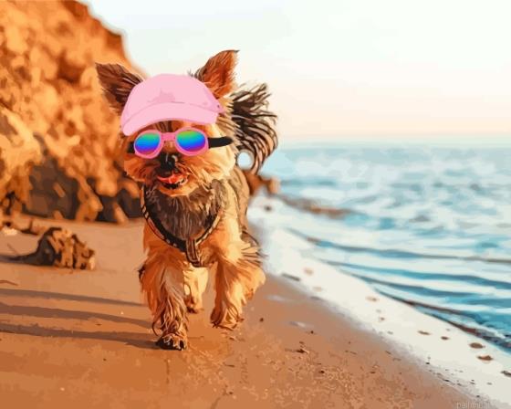 Puppy with summer hat in beach painting by numbers.jpeg