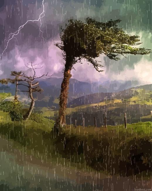 Rainy storm forest painting by numbers.jpeg