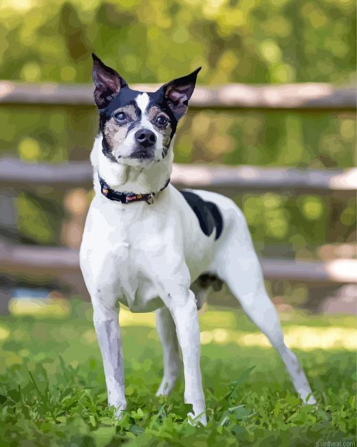 Rat terriers painting by numbers.jpeg