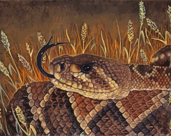 Rattlesnake head painting by numbers.jpeg