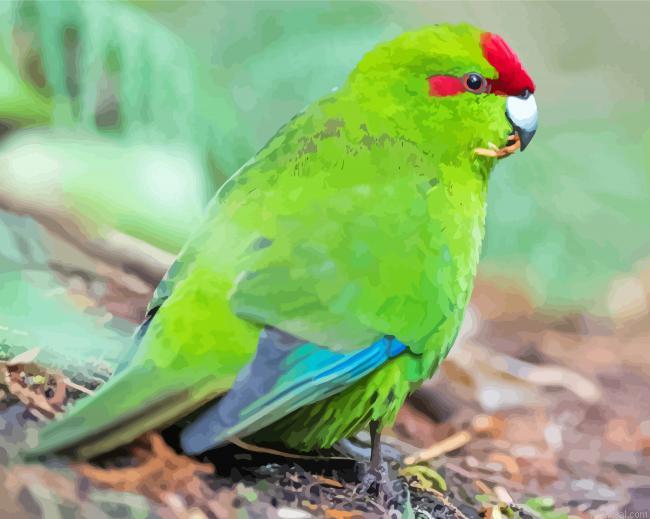 Red crowned parakeet painting by numbers.jpeg