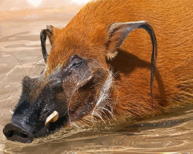 Red river hog swimming painting by numbers.jpeg