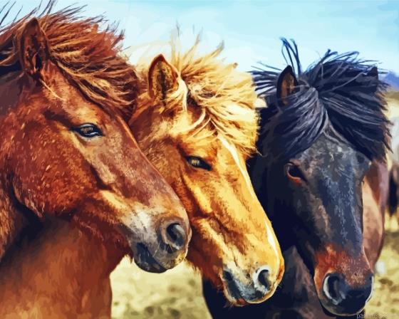 Ree icelandic pony horses painting by numbers.jpeg