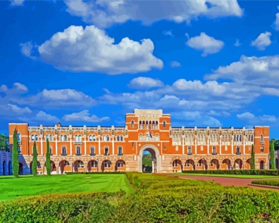 Rice university painting by numbers.jpeg