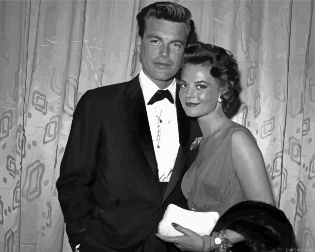 Robert wagner and natalie wood painting by numbers.jpeg