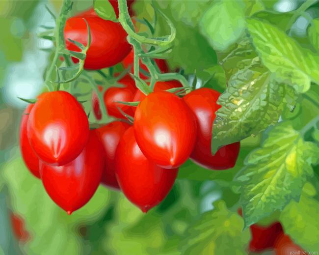 Roma tomato plant painting by numbers.jpeg