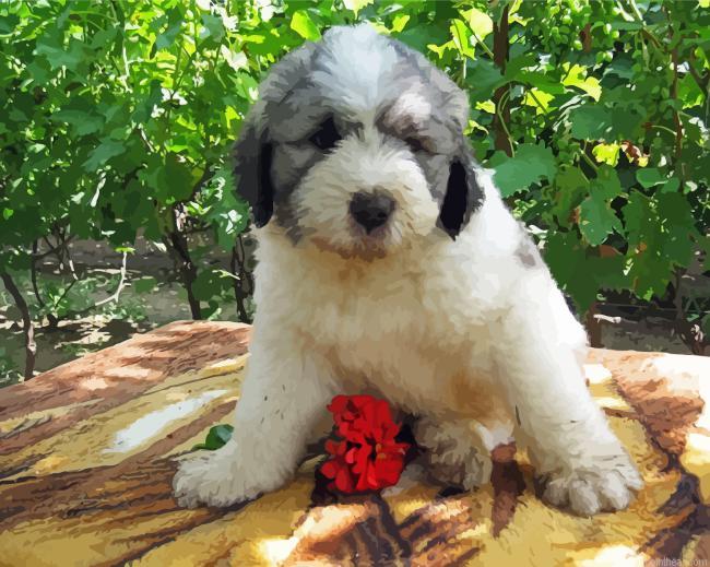 Romanian shepherd dog puppy painting by numbers.jpeg