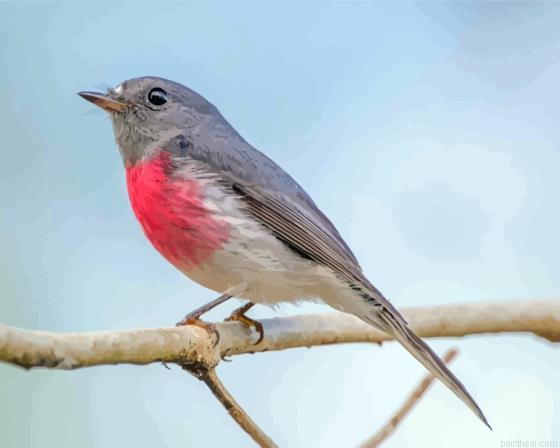 Rose robin on branch painting by numbers.jpeg