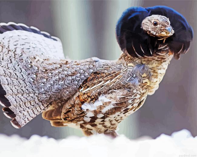 Ruffed grouse bird painting by numbers.jpeg