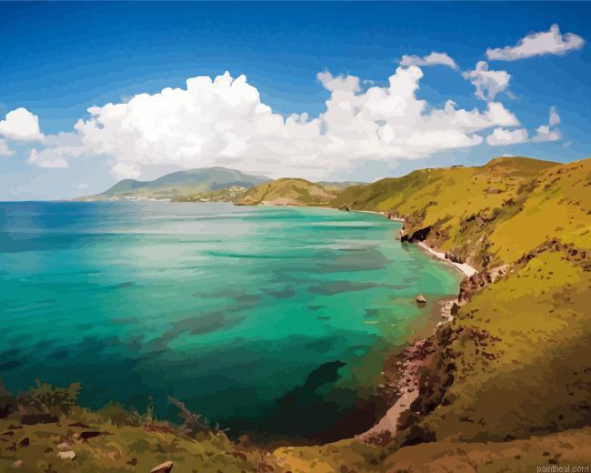 Saint kitts painting by numbers.jpeg