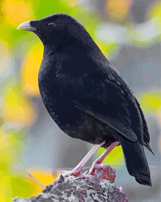Satin bowerbird painting by numbers.jpeg