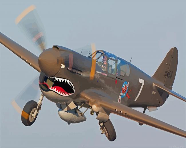Shark wwii airplane painting by numbers.jpeg