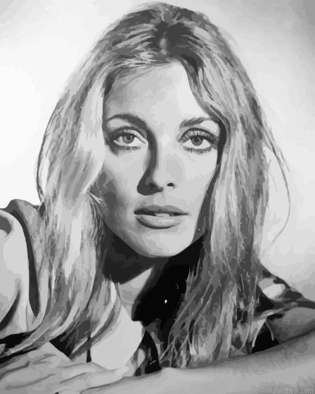Sharon tate painting by numbers.jpeg
