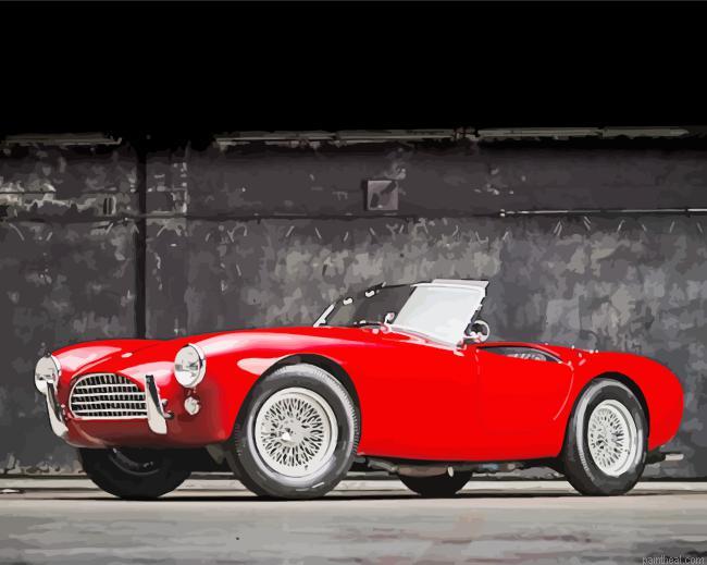 Shelby cobra car painting by numbers.jpeg
