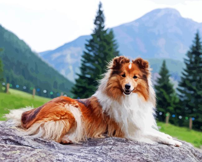 Shetland dog painting by numbers.jpeg