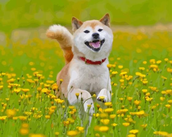 Shiba playing in flower field painting by numbers.jpeg
