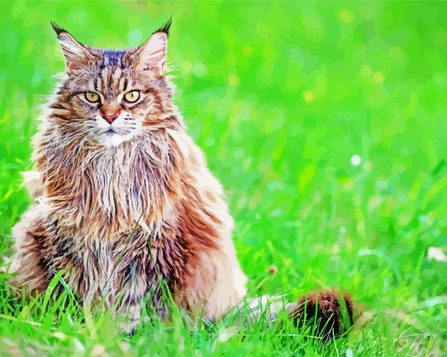 Siberian cat on grass painting by numbers.jpeg