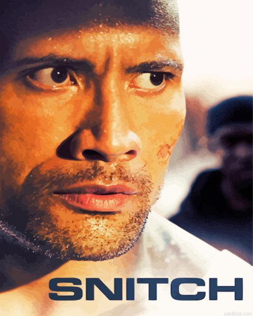 Snitch movie painting by numbers.jpeg