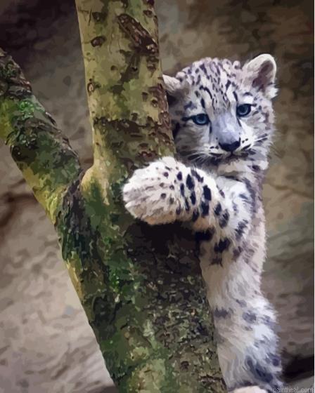 Snow baby leopard on tree painting by numbers.jpeg