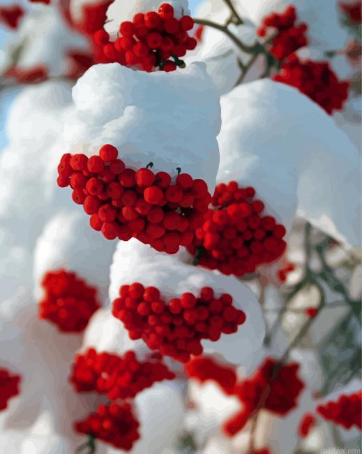 Snow red rowan berries painting by numbers.jpeg