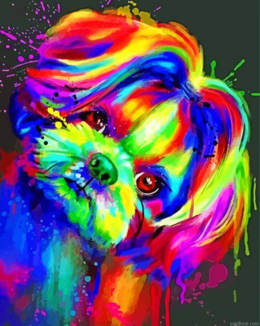 Splash colorful shih tzu painting by numbers.jpeg
