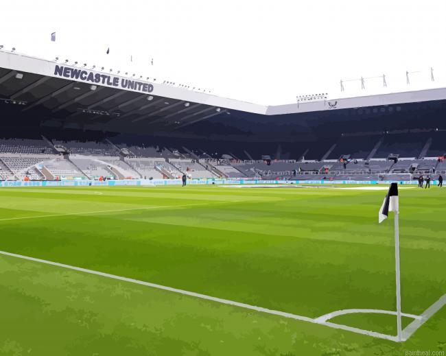 Stadium newcastle football painting by numbers.jpeg