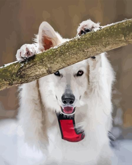 Swiss shepherd holding branch painting by numbers.jpeg