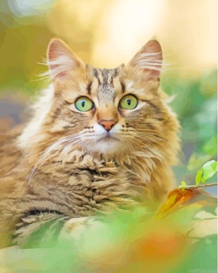 Tabby persian cat painting by numbers.jpeg